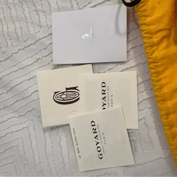 Goyard Alpin Mini Backpack – Navy Blue - Picture 12 of 12